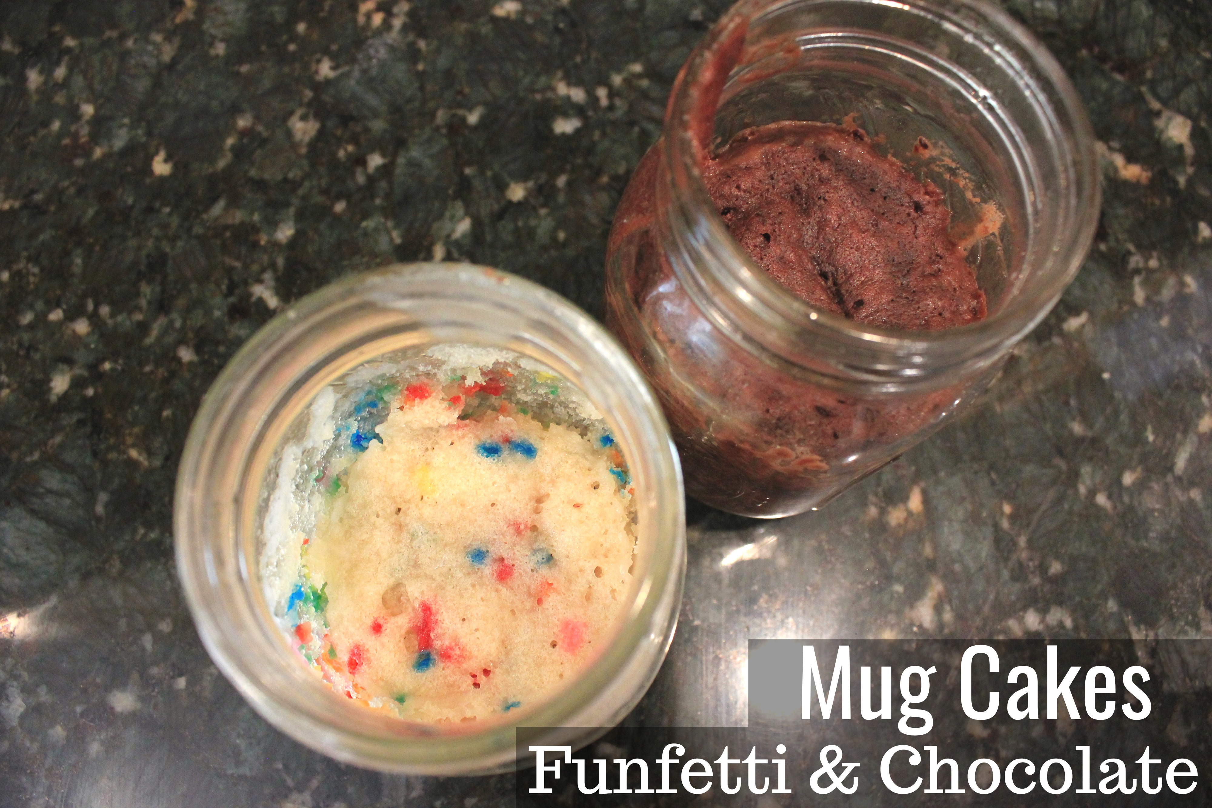 Microwave Mug Cake Recipe Funfetti and Chocolate