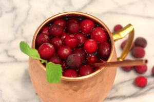 Cranberry Moscow Mule Cocktail Recipe